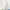 SATEEN 1 Plain White Super Fine 2-ply Cotton Shirting Fabric